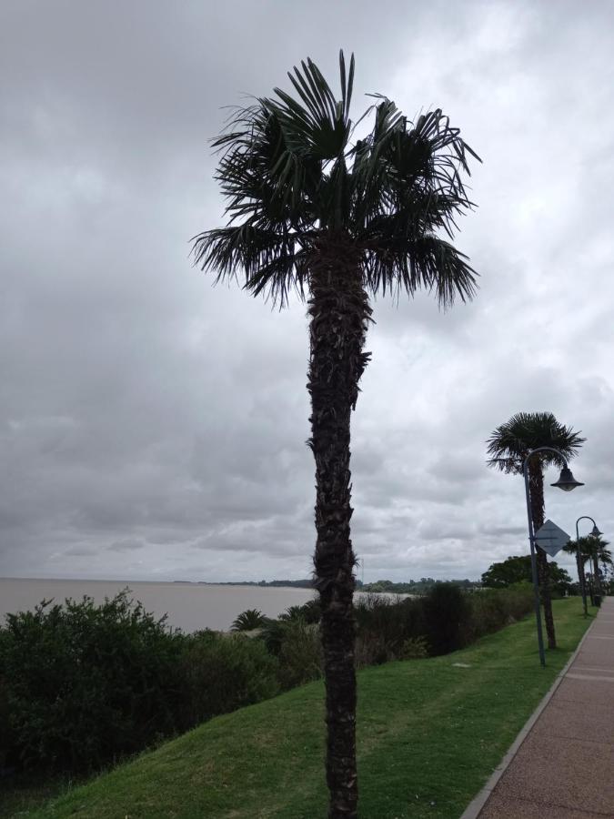 Monoambiente En Colonia Lägenhet Colonia del Sacramento Exteriör bild